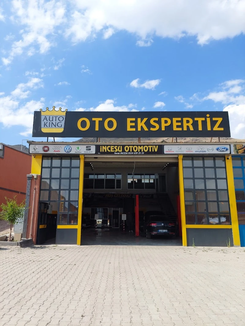 Auto King - Erzurum Pasinler Oto Ekspertiz görsel