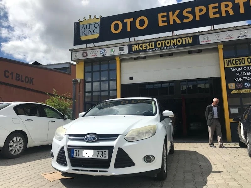 Auto King - Erzurum Pasinler Oto Ekspertiz görsel