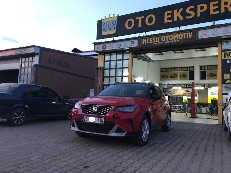 Auto King - Erzurum Pasinler Oto Ekspertiz görsel