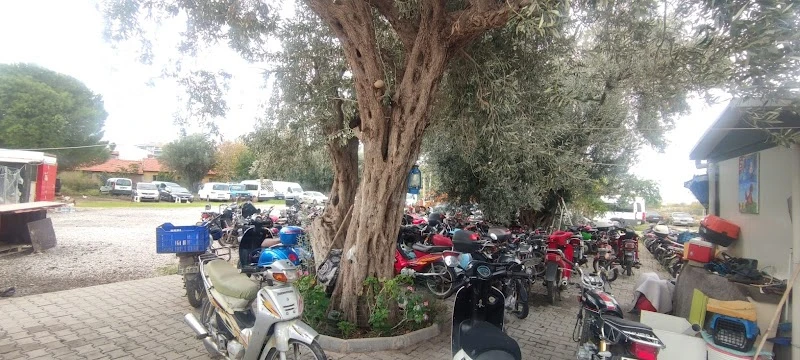 BARIŞ OTOKURTARMA VE YEDİEMİN OTOPARKI görsel