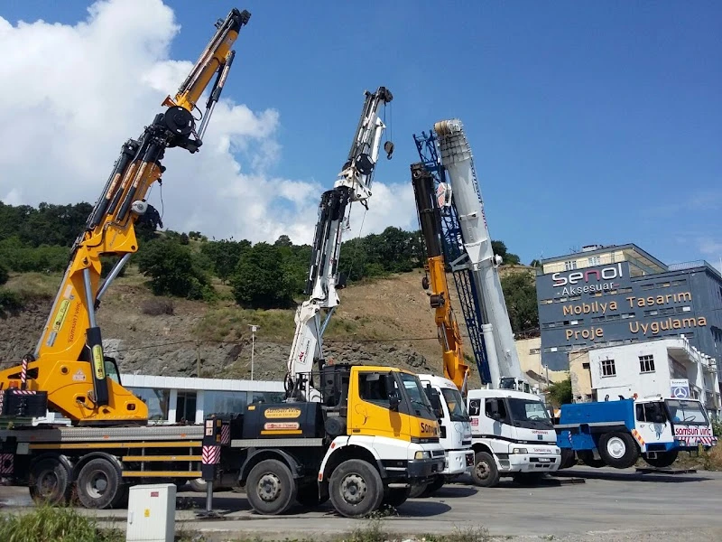 SAMSUN VİNÇ,KİRALIK VİNÇ,MOBİL VİNÇ, SEPETLİ VİNÇ KİRALAMA